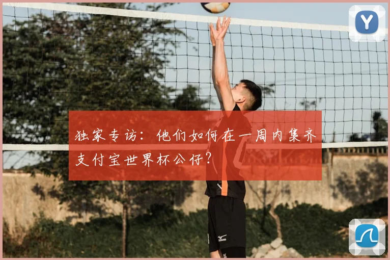 独家专访：他们如何在一周内集齐支付宝世界杯公仔？
