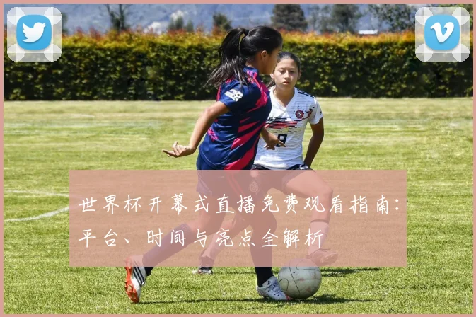 世界杯开幕式直播免费观看指南:平台、时间与亮点全解析