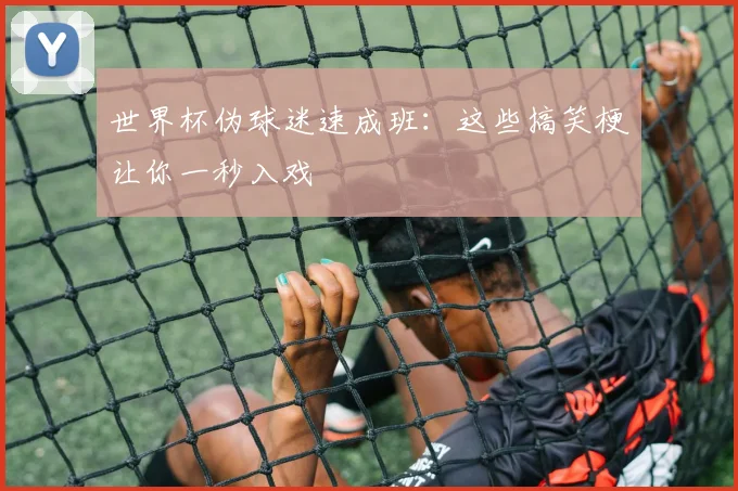 世界杯伪球迷速成班:这些搞笑梗让你一秒入戏