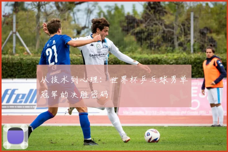 从技术到心理：世界杯乒乓球男单冠军的决胜密码